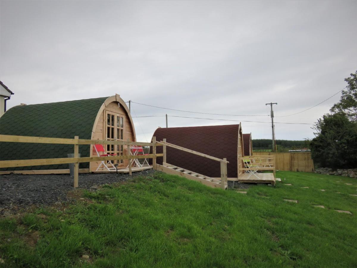 Shannon Estuary Glamping Effernan Exteriér fotografie