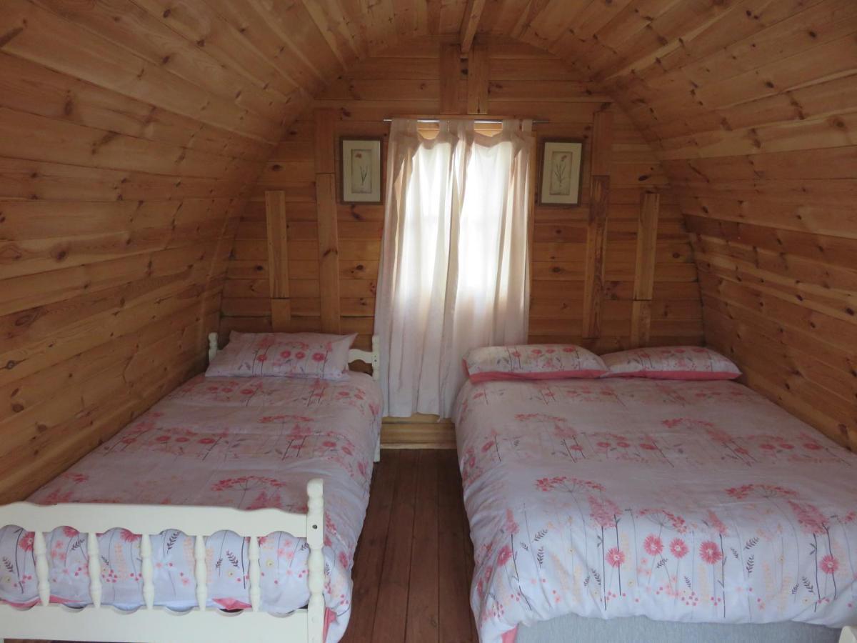 Shannon Estuary Glamping Effernan Exteriér fotografie