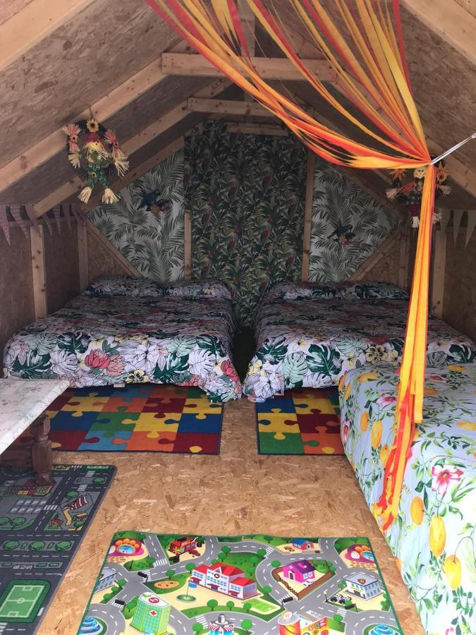 Shannon Estuary Glamping Effernan Exteriér fotografie