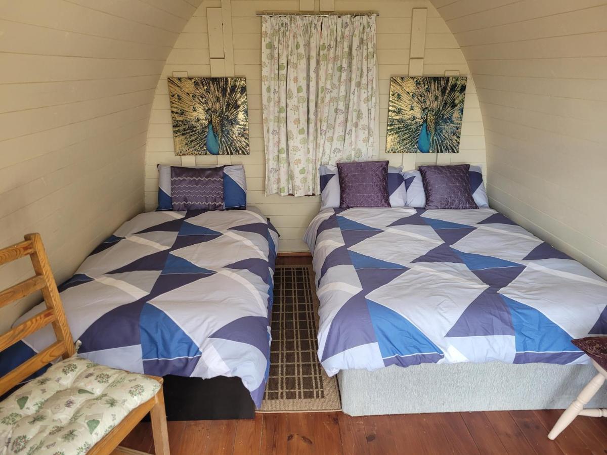 Shannon Estuary Glamping Effernan Exteriér fotografie