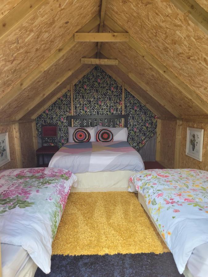 Shannon Estuary Glamping Effernan Exteriér fotografie