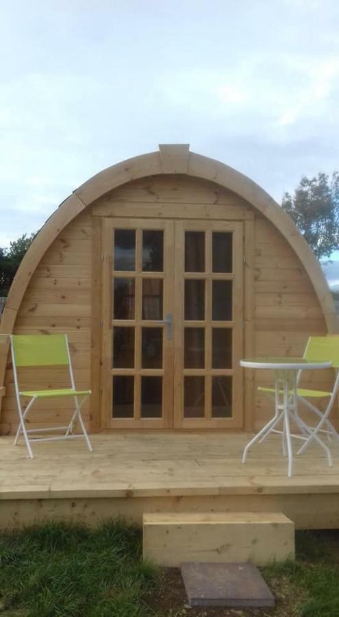 Shannon Estuary Glamping Effernan Exteriér fotografie