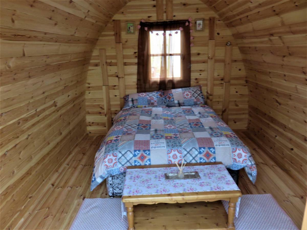 Shannon Estuary Glamping Effernan Exteriér fotografie