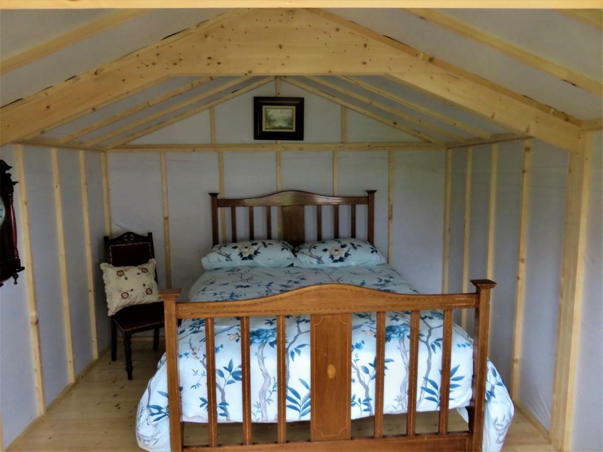 Shannon Estuary Glamping Effernan Exteriér fotografie