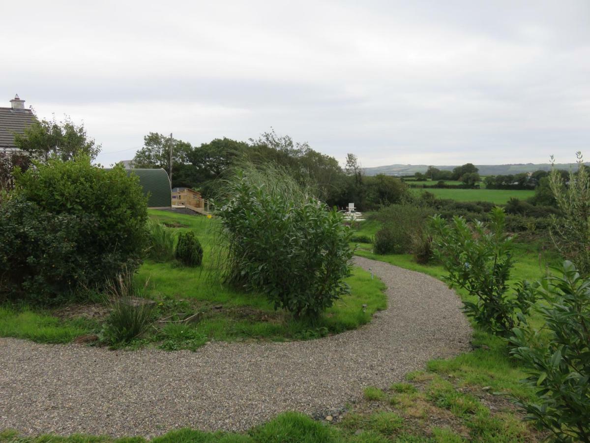 Shannon Estuary Glamping Effernan Exteriér fotografie