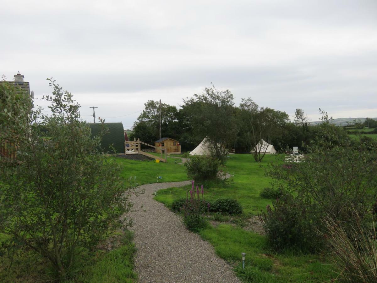 Shannon Estuary Glamping Effernan Exteriér fotografie