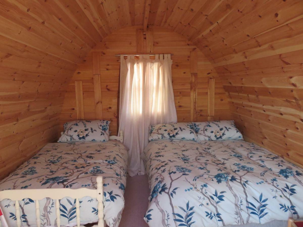 Shannon Estuary Glamping Effernan Exteriér fotografie