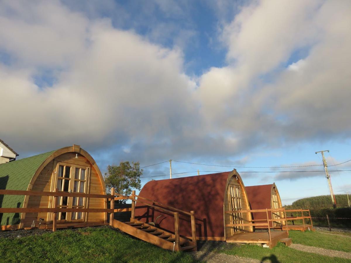 Shannon Estuary Glamping Effernan Exteriér fotografie