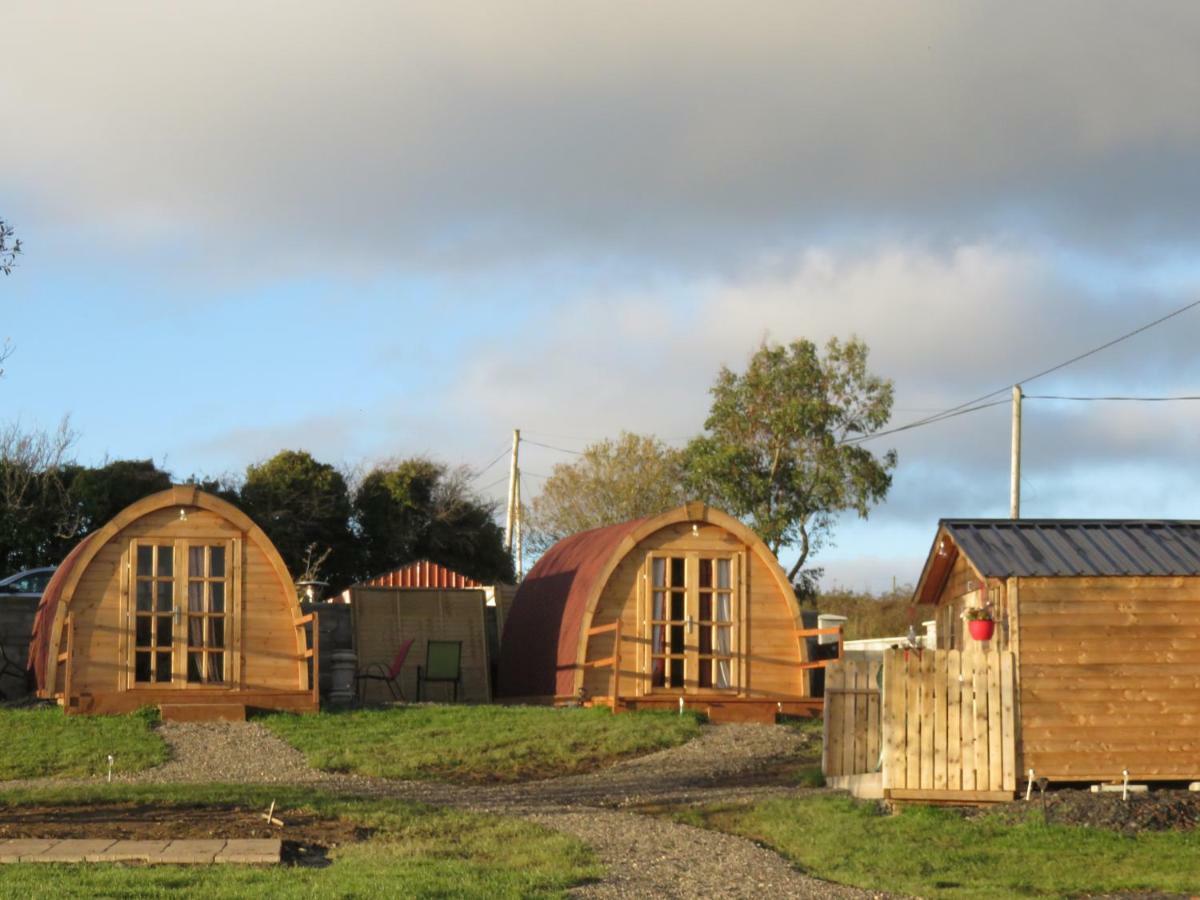 Shannon Estuary Glamping Effernan Exteriér fotografie