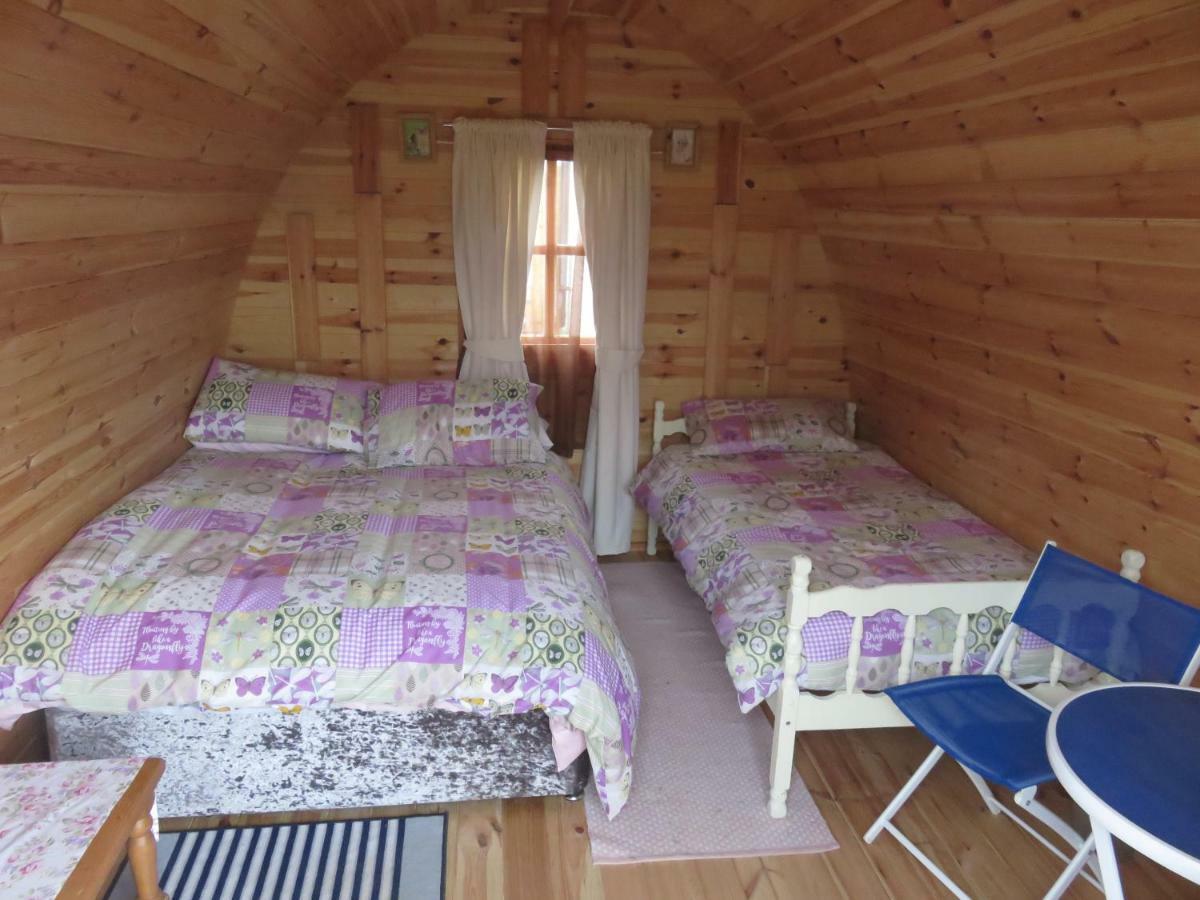 Shannon Estuary Glamping Effernan Exteriér fotografie
