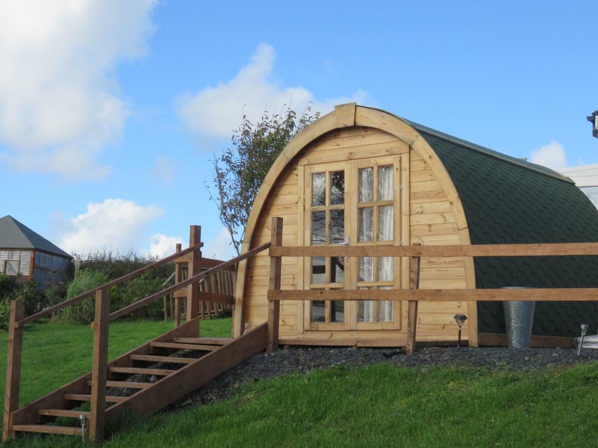 Shannon Estuary Glamping Effernan Exteriér fotografie