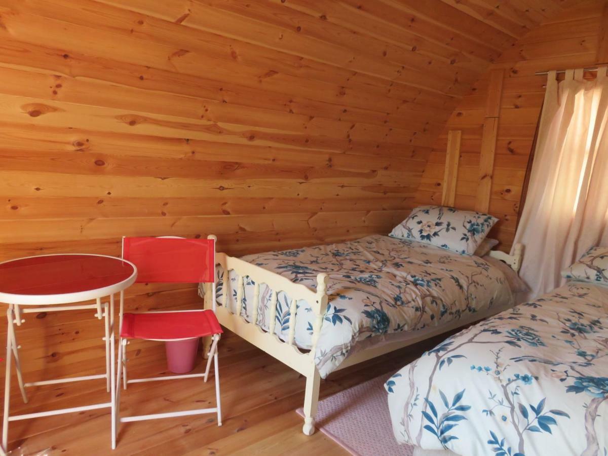 Shannon Estuary Glamping Effernan Exteriér fotografie